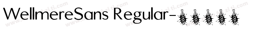 WellmereSans Regular字体转换